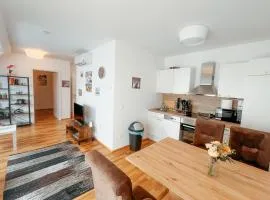 Danube Rooftop Apartment 15