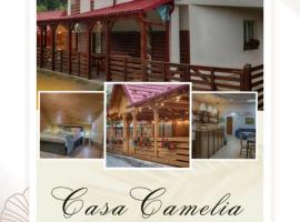 Casa Camelia, posada u hoster&iacute;a en Săcel