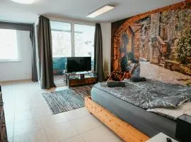 Danube Island Apartment 3