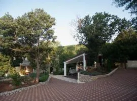 Apartments Luka