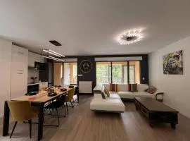 Lodge spacieux 8 pers, 3 parkings, à 10 min du centre-ville - FR-1-234-323