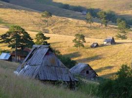Konačište Ćirović、Rudoのホテル
