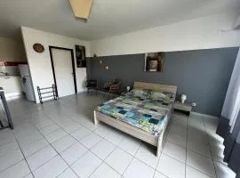 Studio confortable au cœur de Cayenne - Balcon avec vue