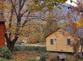 Guest House Brili, hotel pro pobyt s dom&aacute;c&iacute;mi mazl&iacute;čky v destinaci Ghebi