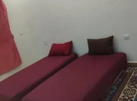 waltit apartement