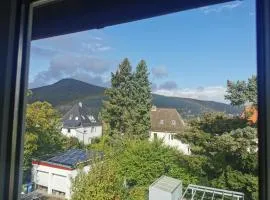 Ferienwohnung Bergblick