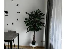 Gemütliche Wohnung in Belecke