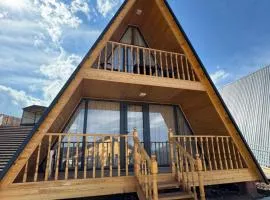 Nest House