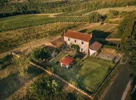 Villa Carla Istrian house, by Istrian Embrace