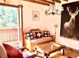 Chalet Rivière du Bon Nant Location de 6 à 14 personnes en Haute Savoie