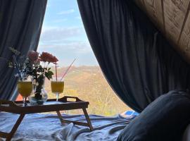 Luxury house Nena Fruška gora - kuća za odmor, hotel in Velika Remeta