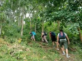 Bukit Lawang Backpacker JungleTrekking Only Booking with us