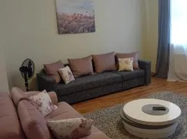 River Apartment Riga