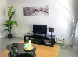 T2 centre-ville avec balcon, 1 chambre, 2 pers, climatisation, parking libre et gratuit
