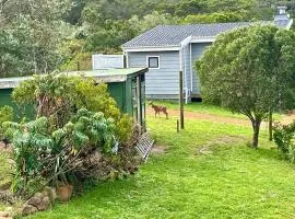 Bushbuck Farm Eco-Retreat