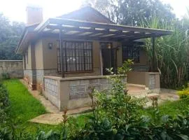 Country Haven