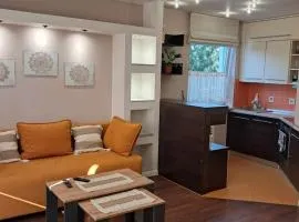 Apartament Julia 1-4 os parter balkon garaż Westerplatte