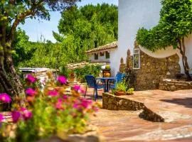 Cinco Lunas VEGETARIAN Guesthouse