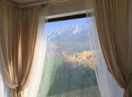 Villa & Spa Plaiul Foii - Sierra Blanca, hotel in Zărneşti