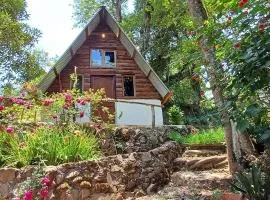 Cabañita del bosque de la cumbre de san Bartolo Milpas Altas