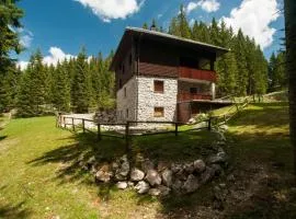 Apartma Medved - Pokljuka