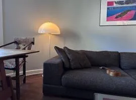 Local family home Copenhagen close to city center