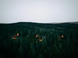 PAN Treetop Cabins