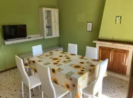 B&B La cicala
