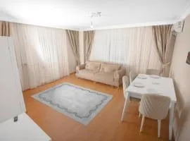 New furniture, zero air conditioning, modern and quiet 19