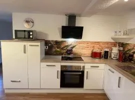 Ferienhaus Sonnenterrasse mit Grill