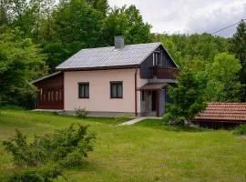House Polane in the Forest, 45 km from Seaside