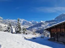 Chalet de Manigod