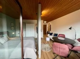 Ferienapartment Buchenberg