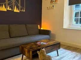 Entire Apartment in Dublin