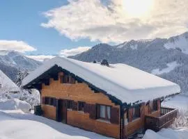 Chalet spacieux 12 pers, 4 ch, 4 sdb, cuisine équipée, parking, cheminée - FR-1-676-201