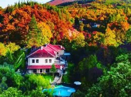 Forest Paradise Hanevci