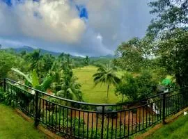 Rainforest Border Edge