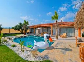 Villa mono 1