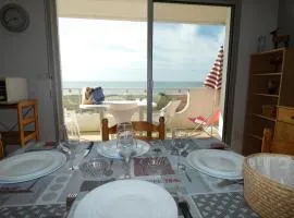 Appartement pour 6 personnes à 10m des plages, animaux acceptés, parking - FR-1-540-244