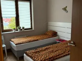 Apartament Józefa