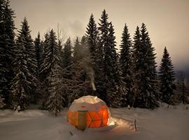 Dome Glamping with shared bathroom, Hotel in Lillehammer
