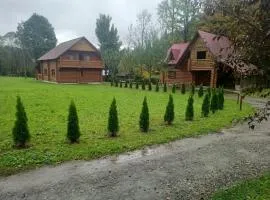 Біля річки