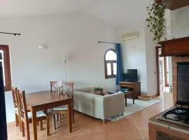 Abete Bianco
