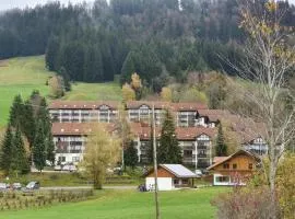 Familienauszeit mit Indoorpool, Sauna, Netflix, Disney, Homeoffice 50-100 MBit Internet inkl Bettwäsche Handtücher Reinigung