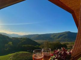 Kuća za odmor Andrea, khách sạn ở Bajina Bašta