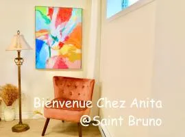 Basement 2-bedroom apartment near National Park and Montréal