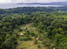 Eco Lodge&Farm Rustic Roots Reserve