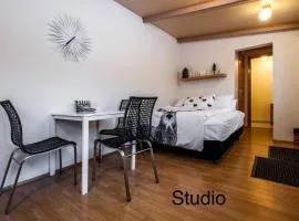 Great Location Downtown Studio