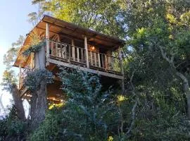 Casiopea Glamping