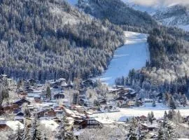 studio station des carroz d'arraches